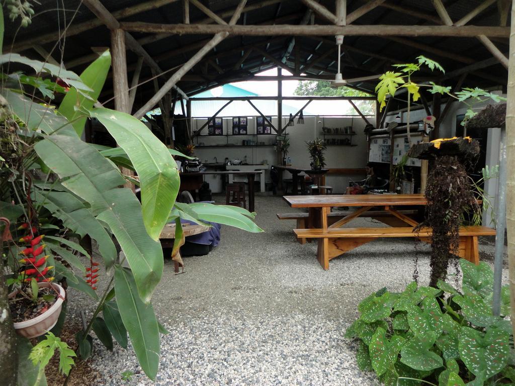 Cabinas Tropicales Puerto Jiménez 外观 照片