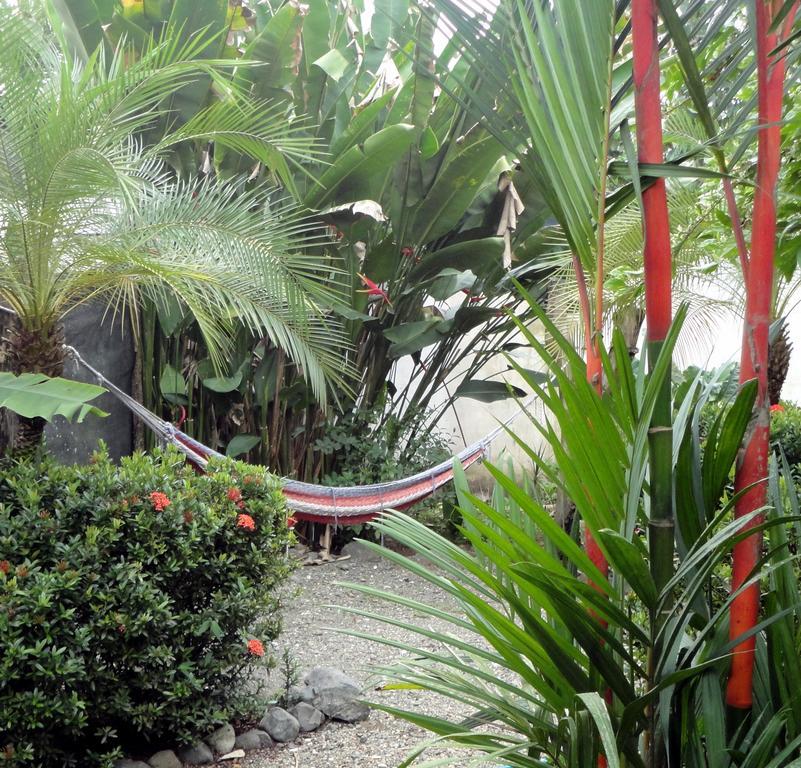 Cabinas Tropicales Puerto Jiménez 外观 照片
