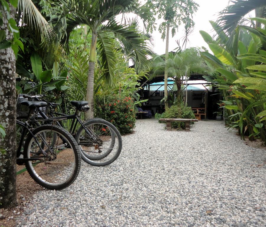 Cabinas Tropicales Puerto Jiménez 外观 照片