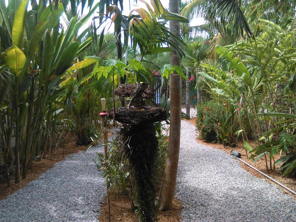 Cabinas Tropicales Puerto Jiménez 客房 照片
