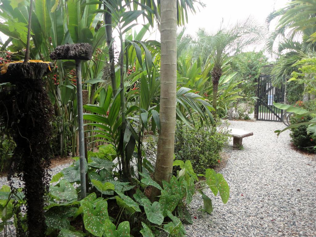 Cabinas Tropicales Puerto Jiménez 外观 照片
