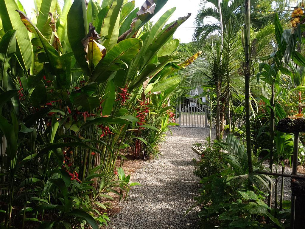 Cabinas Tropicales Puerto Jiménez 外观 照片