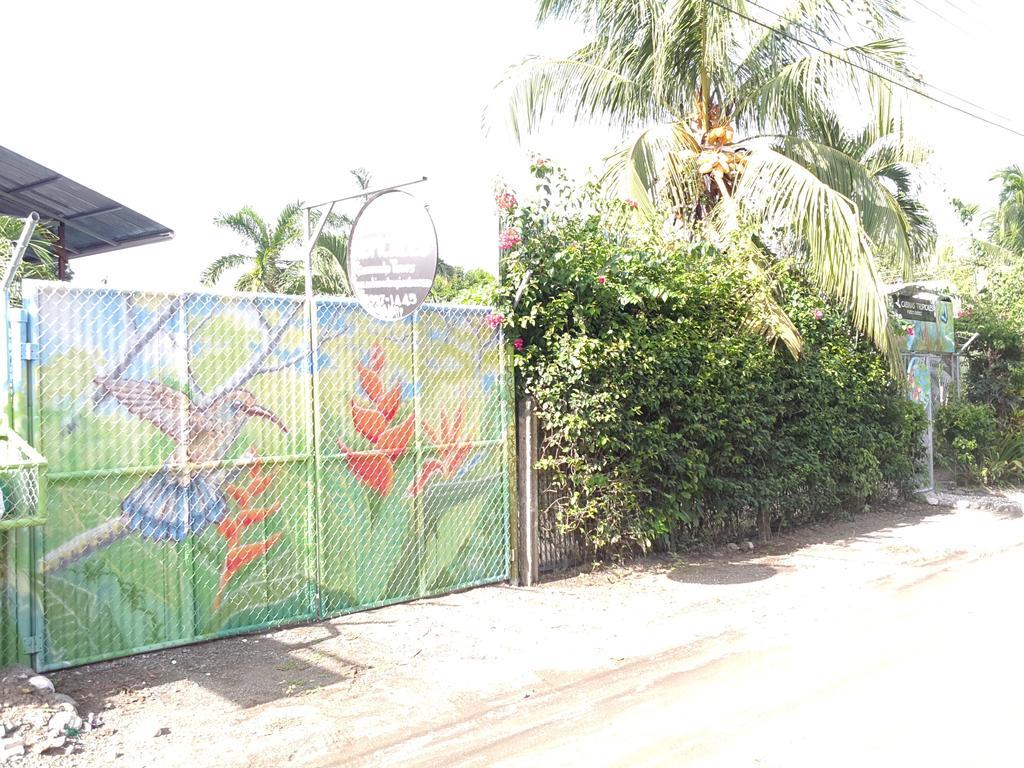 Cabinas Tropicales Puerto Jiménez 外观 照片