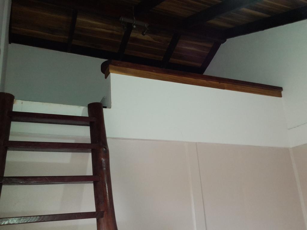 Cabinas Tropicales Puerto Jiménez 外观 照片