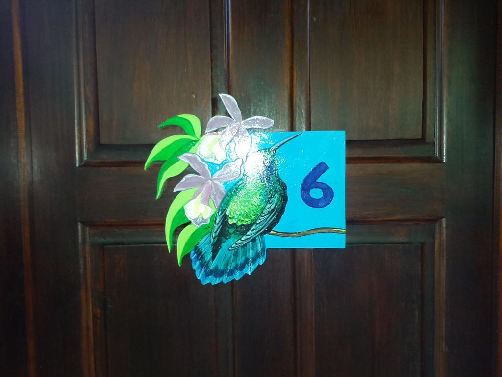 Cabinas Tropicales Puerto Jiménez 外观 照片