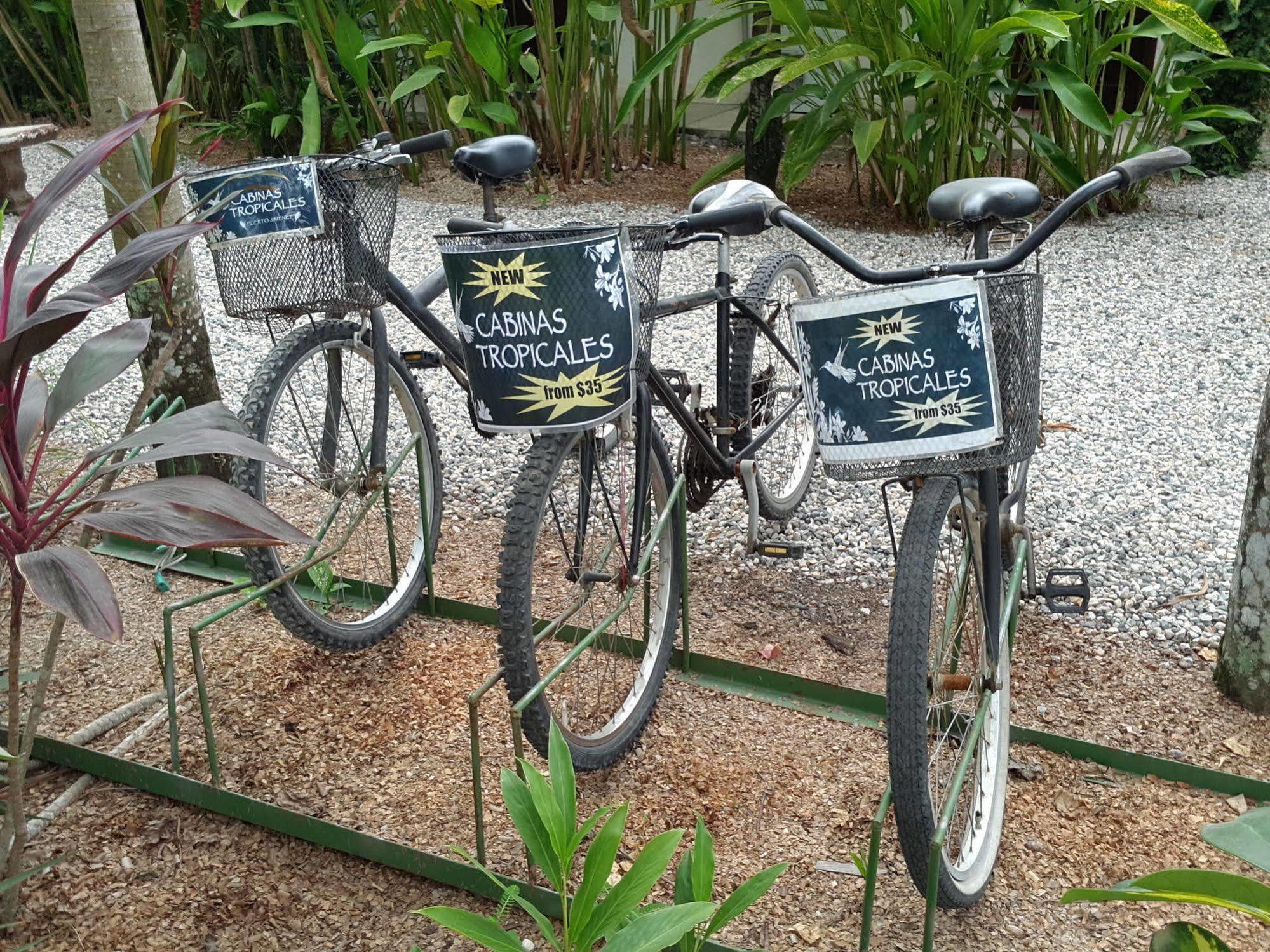 Cabinas Tropicales Puerto Jiménez 外观 照片